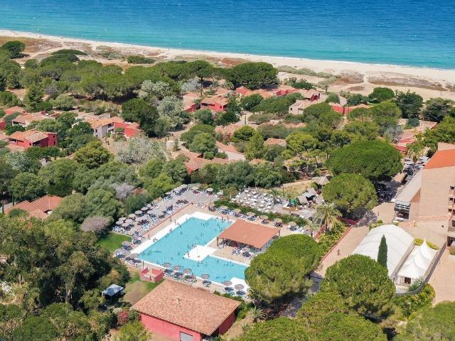 Appartement vente à Calvi, Palasca
