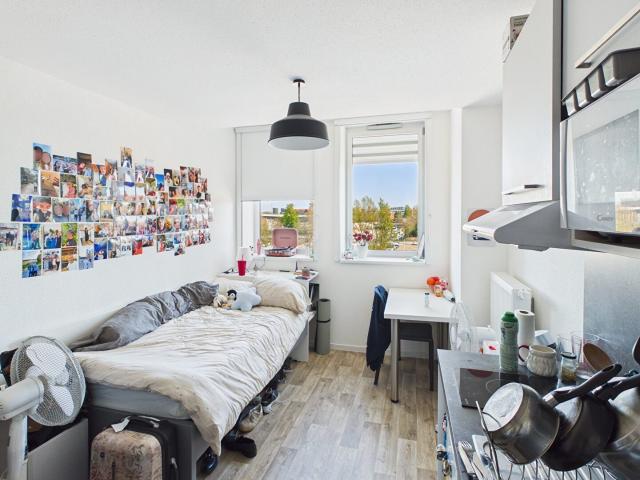 Appartement vente à Strasbourg, Hoenheim