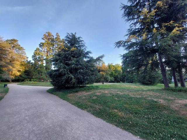 Appartement location à Tours