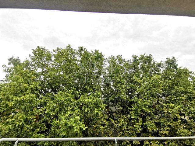 Appartement vente à Boulogne-Billancourt, Issy-les-moulineaux