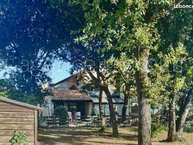 Appartement vente à Soulac-sur-mer