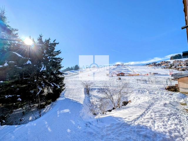 Appartement vente à Annecy, Manigod