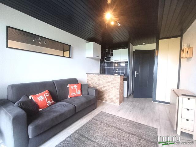 Appartement vente à Saint-Dié-des-Vosges, Le Tholy