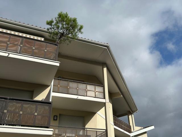 Appartement location à Arcachon, Marcheprime