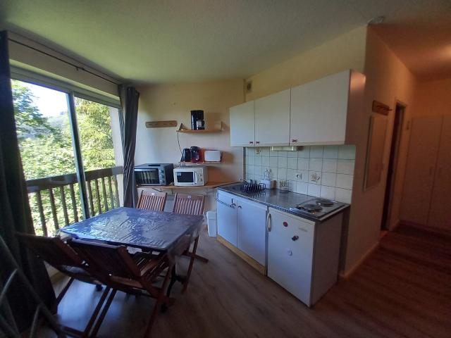 Appartement vente à Super Lioran, Laveissière