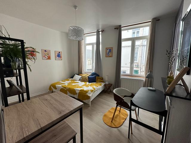 Appartement vente à Lille