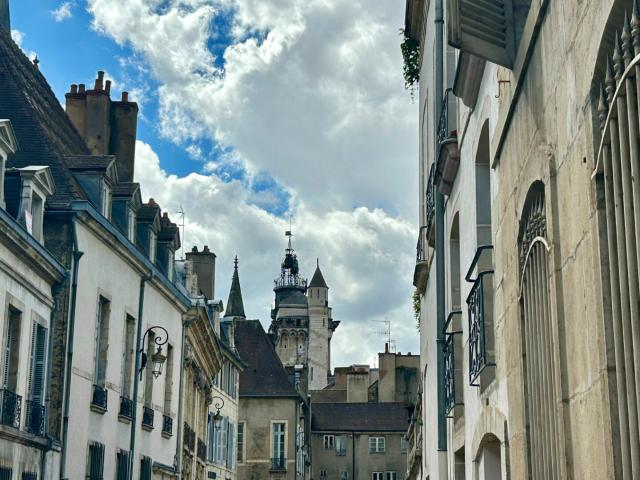 Appartement vente à Dijon