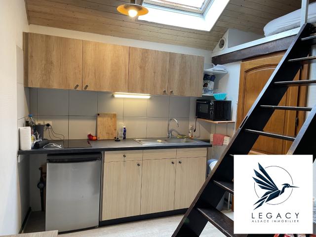Appartement vente à Strasbourg, Hoenheim