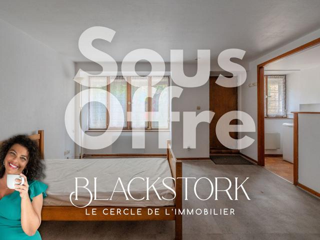 Appartement vente à Strasbourg, Hoenheim