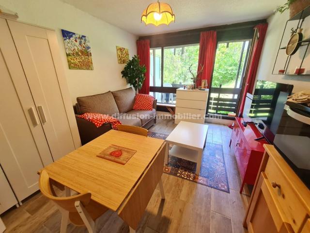 Appartement vente à Barcelonnette, Enchastrayes