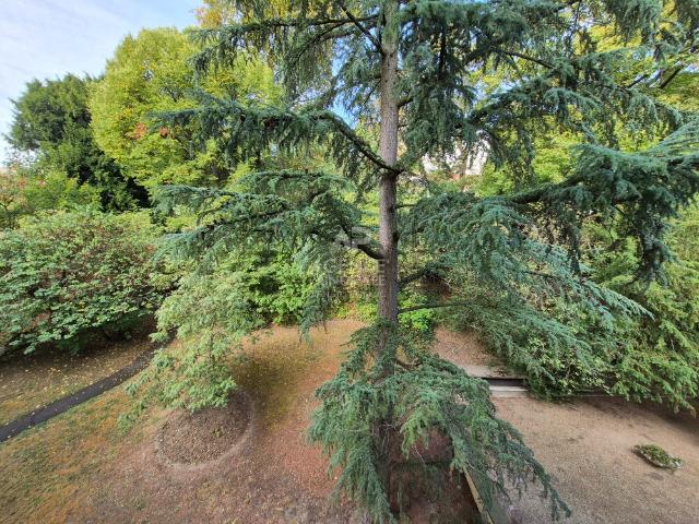 Appartement vente à Quartier Saint-Wandrille, Le Pecq