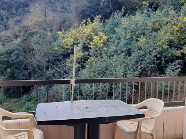 Appartement vente à Céret, Amélie-les-bains-palalda