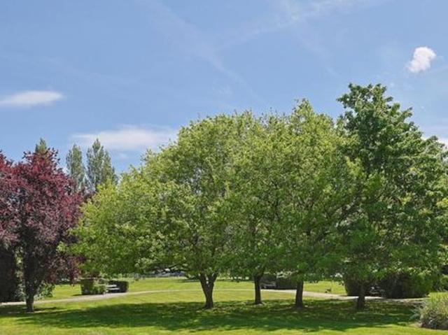 Appartement vente à Saint-Arnoult, Loir-et-Cher