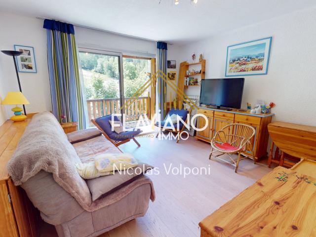 Appartement vente à Barcelonnette, Enchastrayes