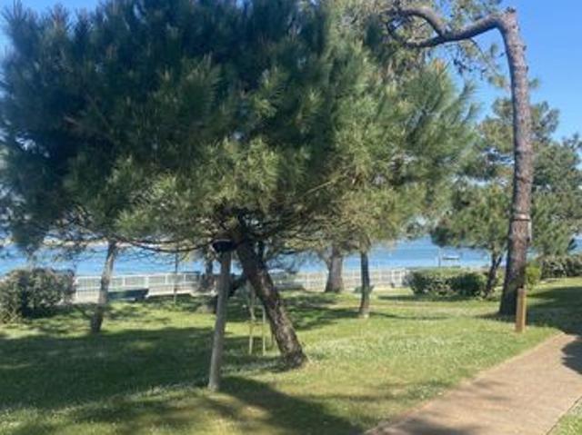 Appartement vente à Arcachon