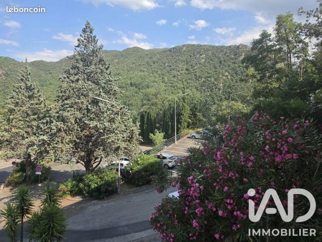 Appartement vente à Céret, Amélie-les-bains-palalda
