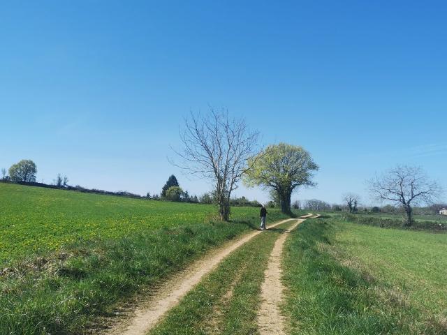 Appartement location à Cahors, Bach