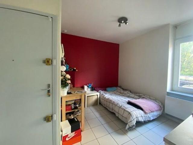 Appartement location à Saint-Étienne, Saint-martin-la-plaine