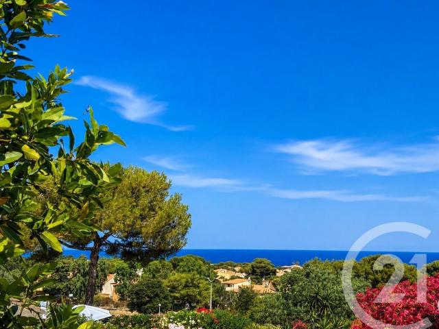 Appartement vente à Calvi, Lumio