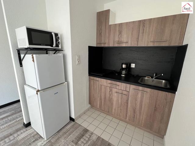 Appartement location à Sarrebourg-Château-Salins, Sarrebourg