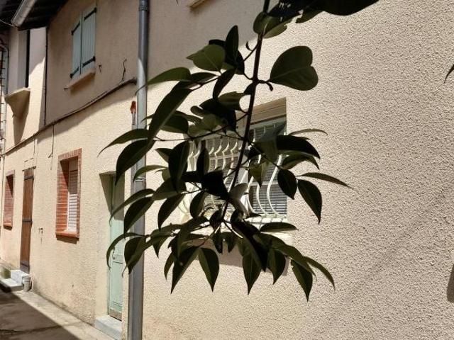 Appartement location à Toulouse
