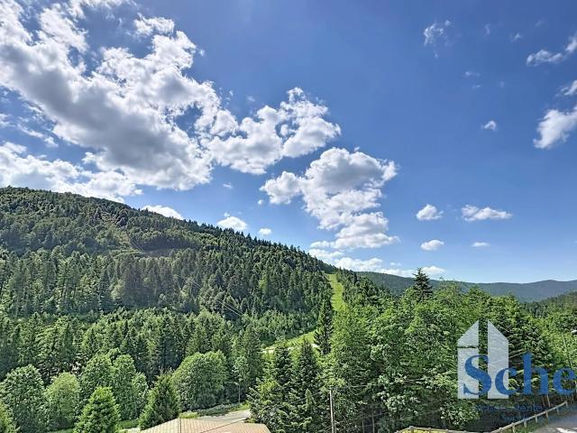 Appartement vente à La Bresse, Vosges