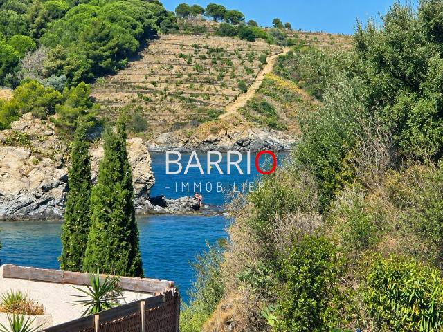 Appartement vente à Céret, Banyuls-sur-mer