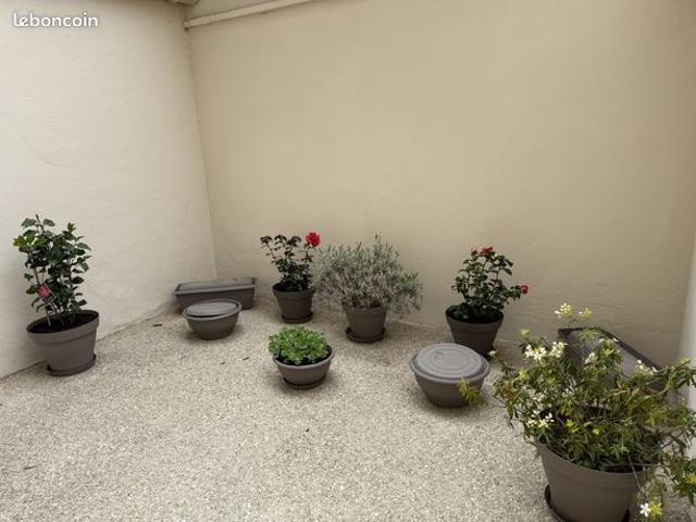 Appartement vente à Melun