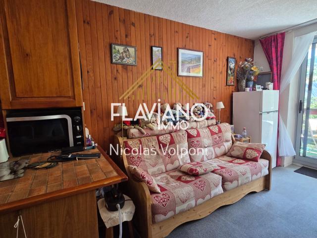 Appartement vente à Barcelonnette, Enchastrayes