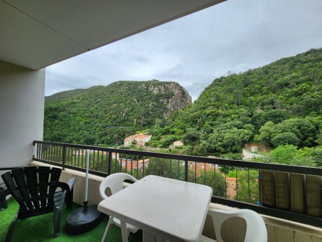 Appartement vente à Céret, Amélie-les-bains-palalda