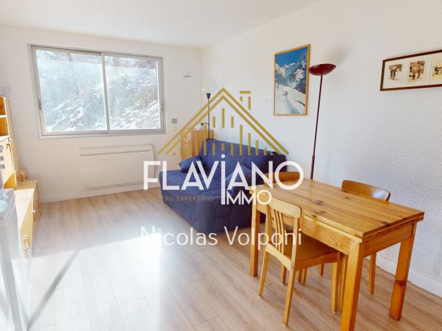 Appartement vente à Barcelonnette, Enchastrayes