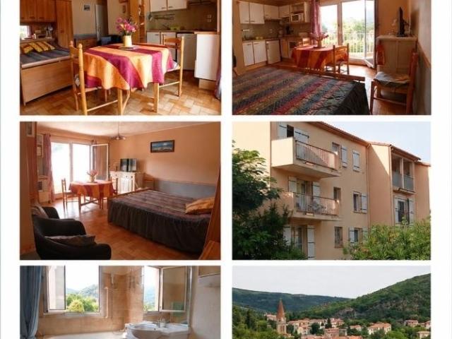 Appartement vente à Céret, Amélie-les-bains-palalda