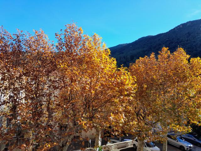 Appartement vente à Céret, Amélie-les-bains-palalda
