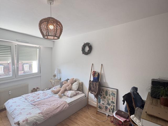 Appartement vente à Strasbourg, Hoenheim
