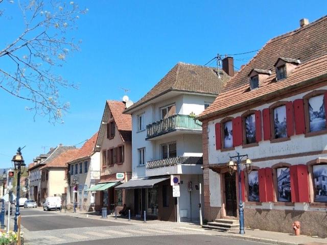 Appartement vente à Haguenau-Wissembourg, Reichshoffen