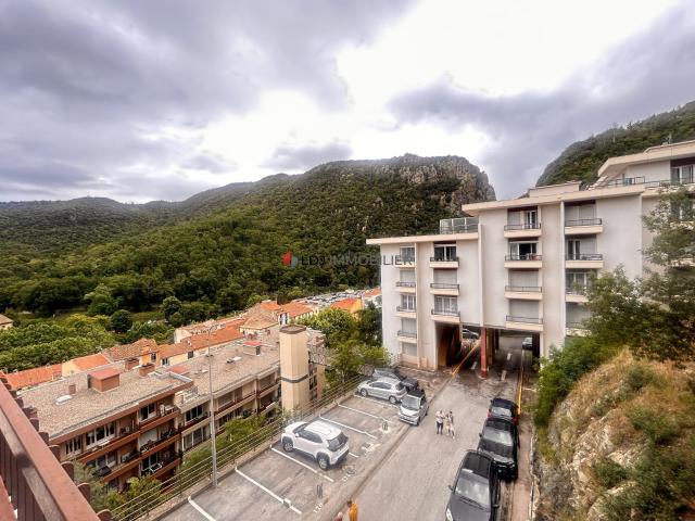 Appartement vente à Céret, Amélie-les-bains-palalda