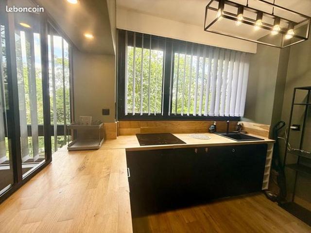 Appartement vente à Lille