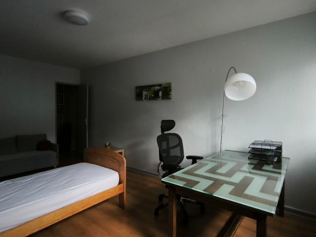 Appartement location à Saint-Étienne, Saint-martin-la-plaine
