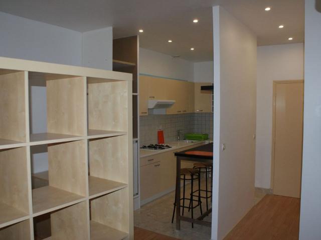 Appartement location à Saint-Étienne, Saint-martin-la-plaine