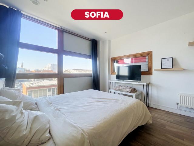 Appartement vente à Lille