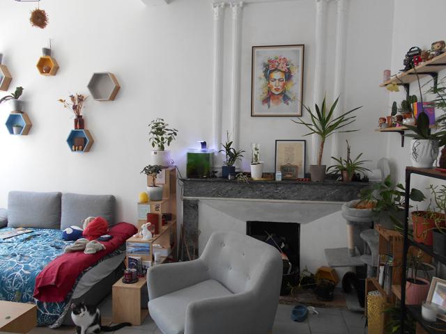 Appartement location à Albi, Rabastens