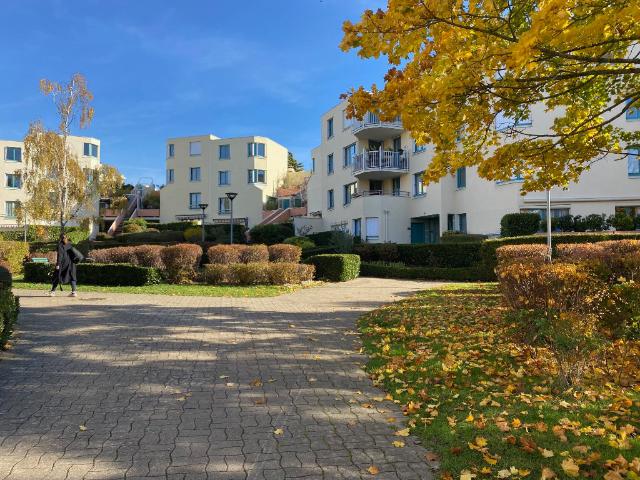 Appartement location à Versailles, Le Chesnay