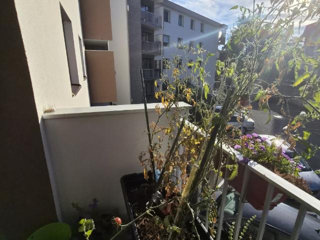 Appartement location à Parc des Toriolets, Annecy