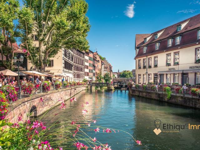 Appartement vente à Strasbourg, Hoenheim