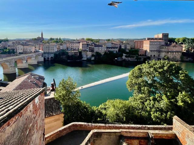 Appartement vente à Albi