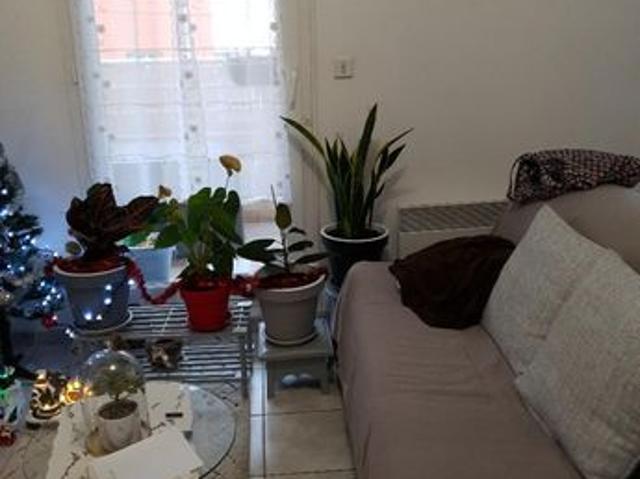 Appartement vente à Narbonne