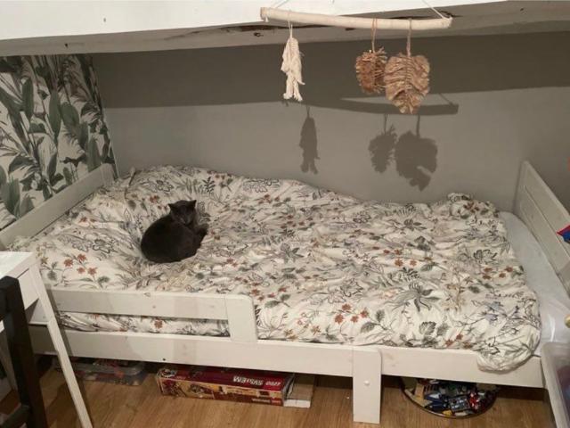 Appartement location à Montauban, Mas-grenier