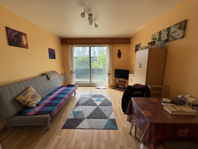 Appartement vente à Strasbourg, Hoenheim
