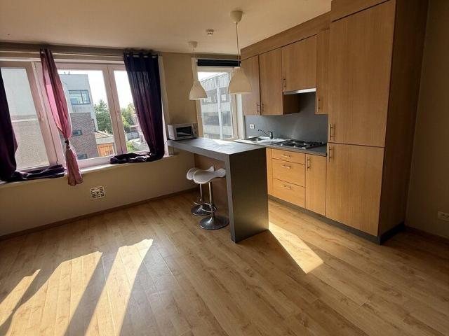 Kot location à Vlaams Plein, Oostende