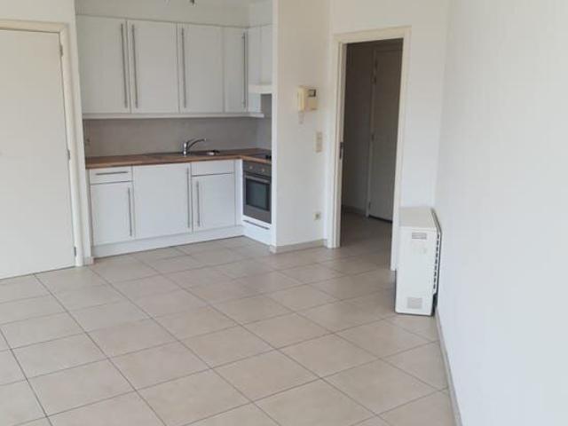 Kot location à Oostende, West-Vlaanderen
